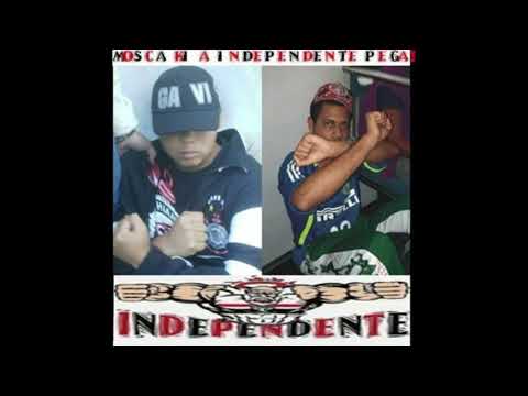 🎵 TORCIDA INDEPENDENTE - ALO PORCADA TORCIDA DE CUZÃO