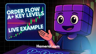 Order Flow Key Area Price Reaction - Live Trade