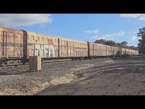 5PM9 SCT Grey Ghost to Melbourne, 9/6/24, Great Western Loop VIC