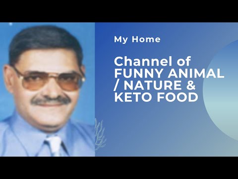 Muhammad Afzal, Nature, Funny animals Dog, . Action & reaction of Funny Animals. #SHORTS