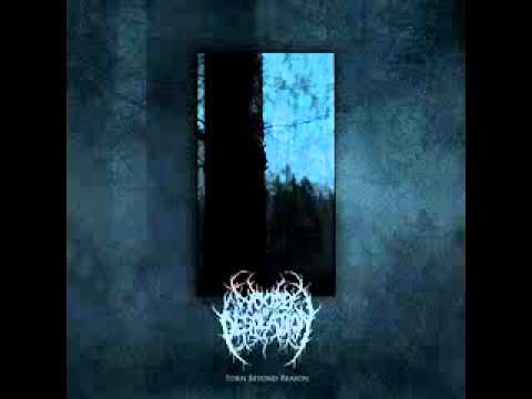 Woods of Desolation-Somehow...