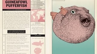 UNUSUAL CREATURES by Michael Hearst (book trailer)