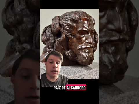 Horacio Quiroga, el escritor que reposa en un trozo de árbol