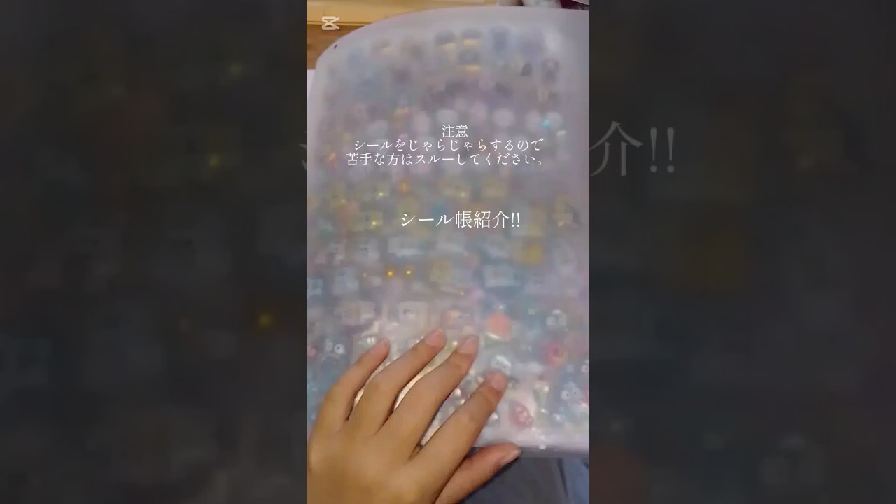 シール帳紹介!ぜひ見てってね★＃シール帳