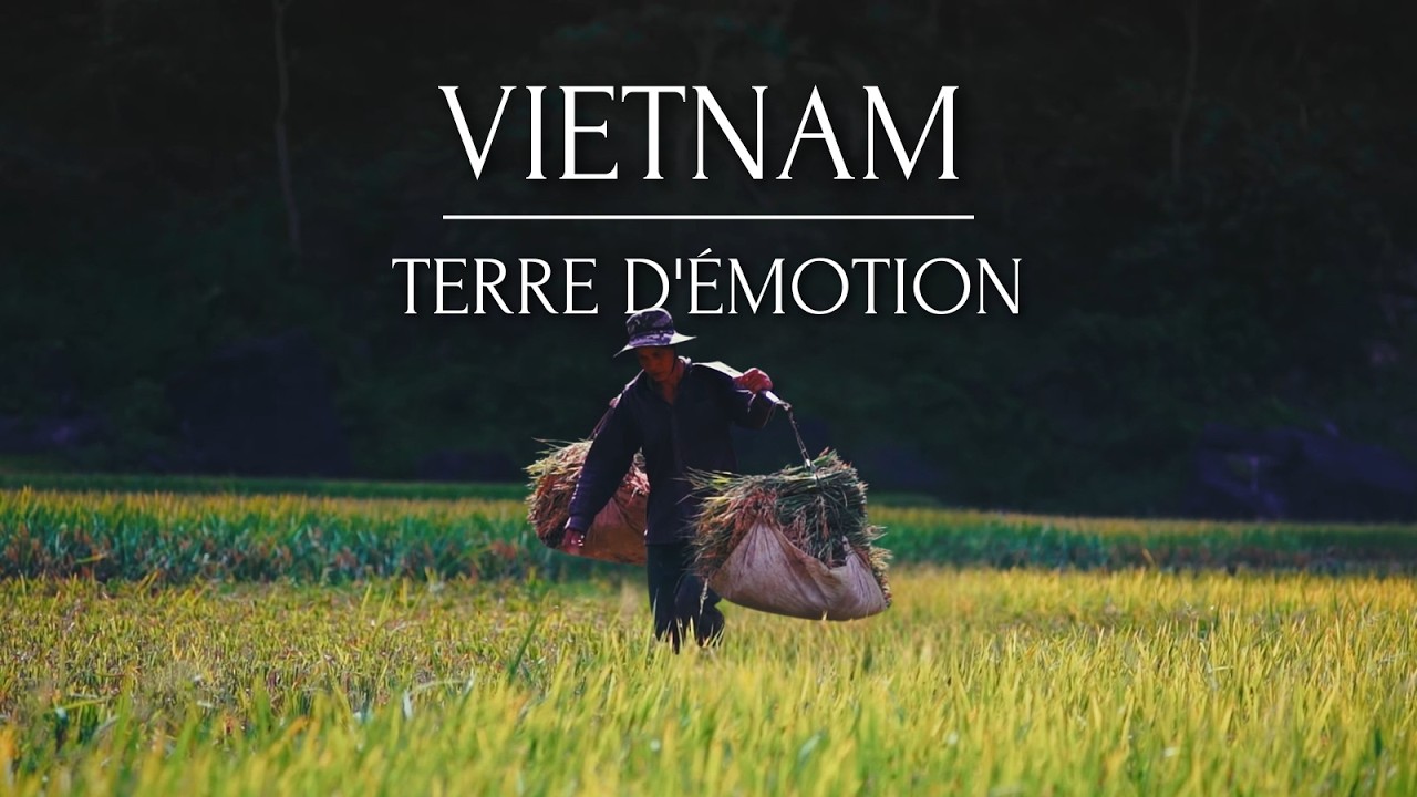 Bienvenue dans nos locaux à Hanoi !