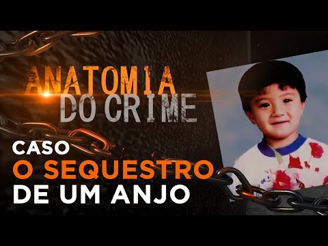 THE KIDNAPPING OF AN ANGEL - ANATOMY OF CRIME