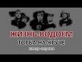 Жизнь-водоем - Торба-на-Круче (cover by TheSeriyVolk) 