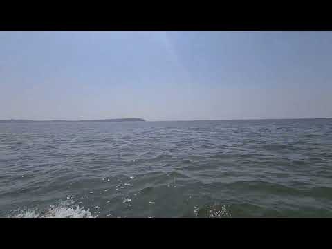 Goa 2022 Sinquerim Beach #zuni #goa #travel (2)