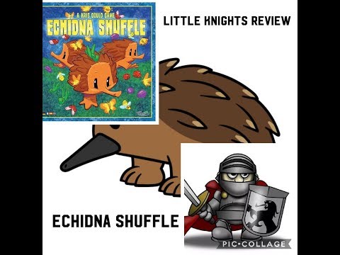 Little Knights boardgame night ; We play Echindna Shuffle