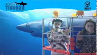 DIA 3 Expo Tiburon101