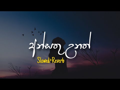 Ansathu Unath - අන්සතු උනත් (Slowed+Reverb)