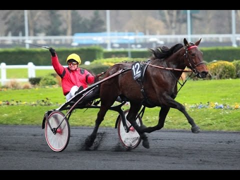 Course référence BOLD EAGLE - 27/12/15 - Critérium Continental