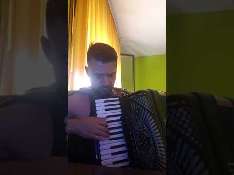 Miodrag Bajić - Brain Shizopren "Vladan Mijatović" CIPI