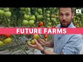 Growing Tomatoes Indoors With 94 Less Water And No Soil