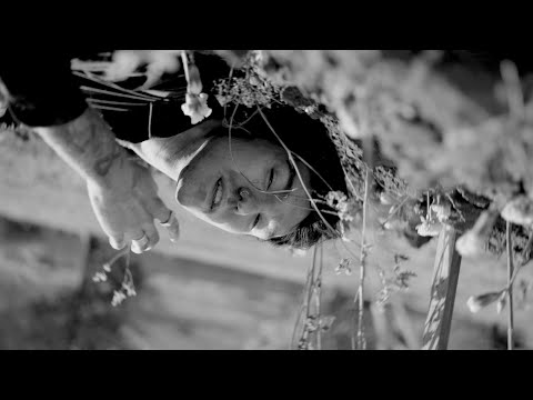 Goody Grace - Gear (Official Music Video)