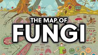 The Fascinating Map of Fungi