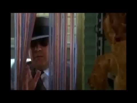 Donatella Erezione Quella di Splendido Splendente