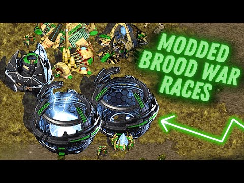 Brood War Like You’ve Never Seen – StarCraft 1 Cosmonarchy Mod Cast