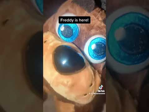 Have any of the Pillow Pets you've ordered shown up vacuum sealed?😂