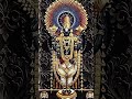 Om Namo Narayana Lord Venkateswara