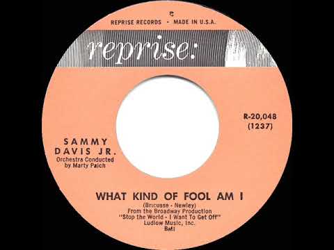 1962 HITS ARCHIVE: What Kind Of Fool Am I - Sammy Davis, Jr.