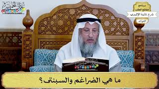 60 - ما هي الضراغم والسبنتى؟ - عثمان الخميس