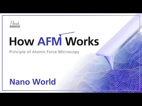 How AFM Works 1-1 AFM Principle