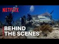 Our Planet II Behind The Scenes Netflix