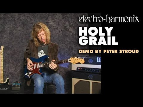 Electro-Harmonix Holy Grail Reverb image 2