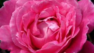 Points of view by joey albert w/ lyrics