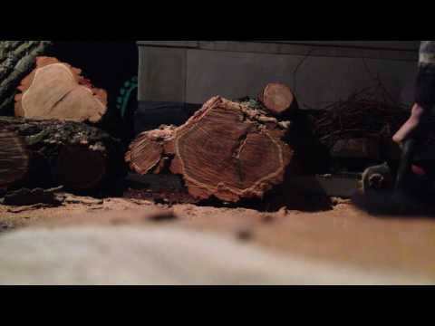 Видео Электропила VITALS Master EKZ 2440 в работе