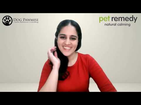 Sowjanya Vijayanagar talks about Dog Gentle Parenting