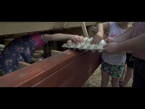 Video 4 aus  LandSelection Ferienhof Bettmann