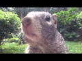 Someone Grabbed My NUTS