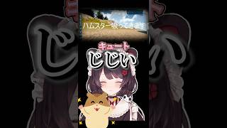 ハムスターを吸うケルベロス【戌亥とこ】