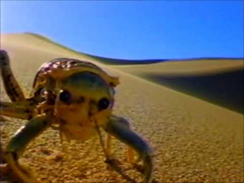 Jordan’s Sound Effects Compilation No.104:Sound Ideas, CARTOON, HOP - JEWS HARP HOPPING