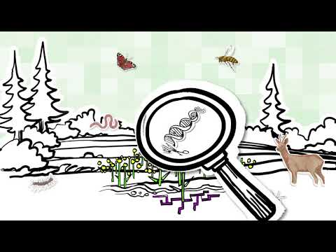 WAS IST GENTECHNIK? (3) Neue Gentechnik: Genome Editing, CRISPR etc.