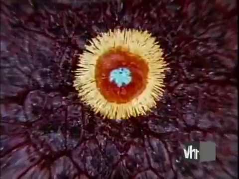 The Drug Years Episode 1 LSD