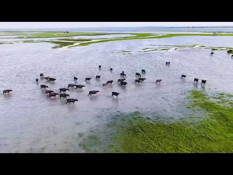 Bangladesh.rupali Bangla.🤍🤍.#foryou #nature #beautiful nature