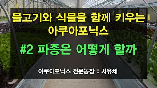 [서유채Farm - 2편] 아쿠아포닉스에 가장 좋은 파종방법