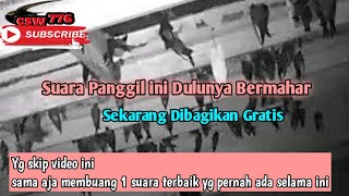 Download lagu SP Sedot Induk Birahi Anakan - Banyak PETANI WALET Sukses Pakai SUARA PANGGIL ini ✓Anti Galau mp3