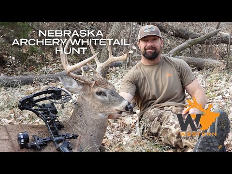 Self Filmed Solo Archery Whitetail Hunt