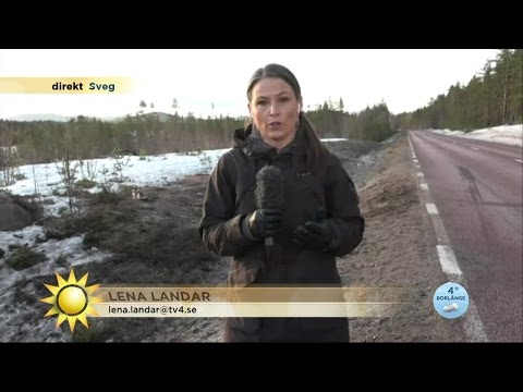 Efter bussolyckan: "Många söker klarhet"  - Nyhetsmorgon (TV4)