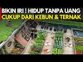 ENJOYABLE A COUPLE LIVES WITHOUT MONEY FROM A GARDEN AND LIVESTOCK IN THEIR YARD YOSO FARM S B