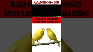 Download lagu NADA DERING|RINGTONE|MASTERAN BURUNG SUARA KICAUAN KENARI  GACOR TEMBAKAN KASARAN PART-6 mp3