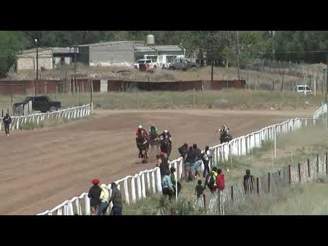 SOBERANO  Club Hípico "Viento Sur" - Cutral Co 11-12-2022