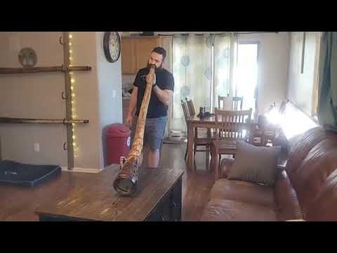 Agave Didgeridoo Demos for April!