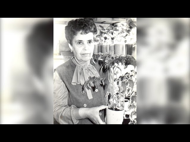 Прощание с Еленой Сергеевной Целютиной