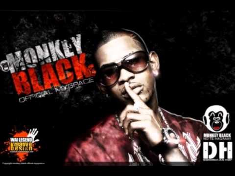 mozart la para -monkey black y villanosam.wmv