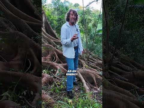 Permaculture Patterns: See Them, Can't Unsee Them